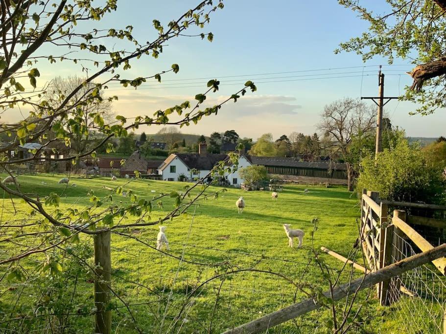 The Cart House - Beautiful Contemporary Barn - Hot Tub Apartment Bridgnorth Exterior foto